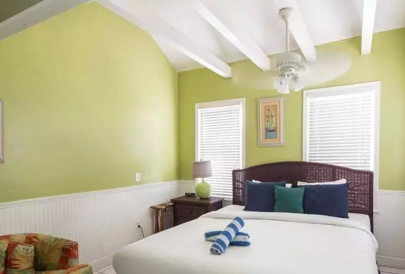 ペンション Colors On White