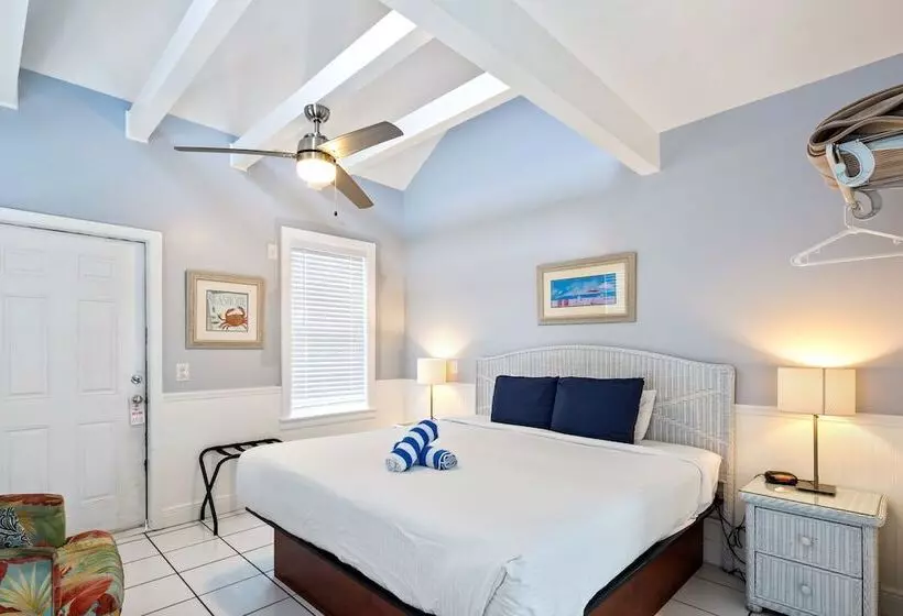 ペンション Colors On White