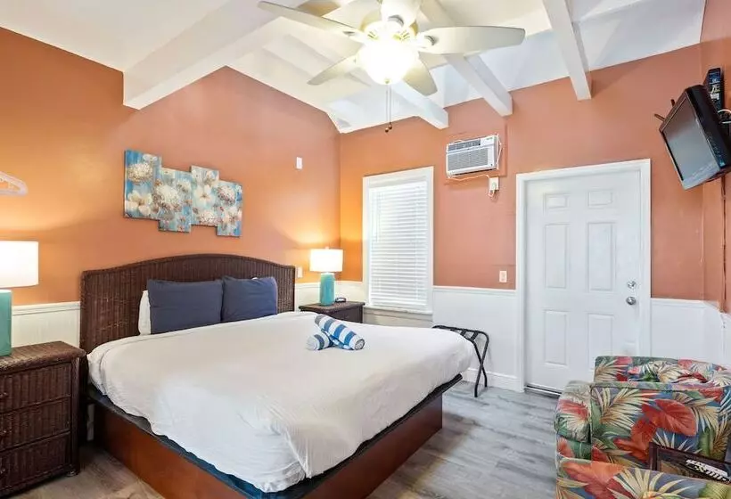 ペンション Colors On White