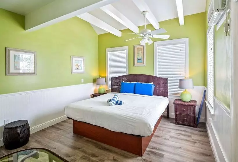 ペンション Colors On White