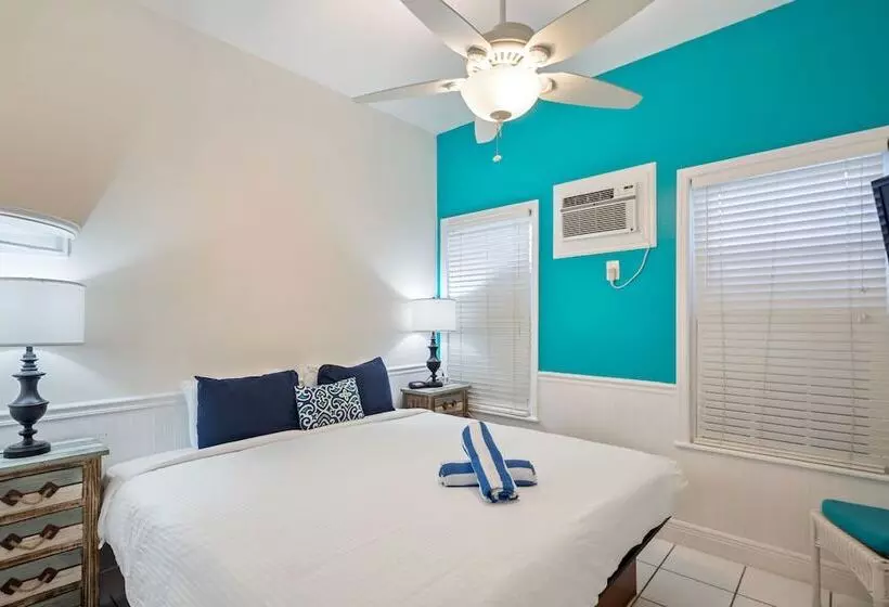 ペンション Colors On White