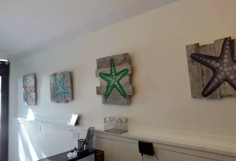 ペンション Colors On White