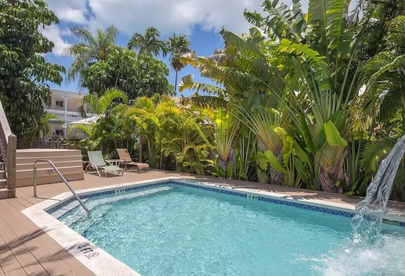 ペンション Colors On White