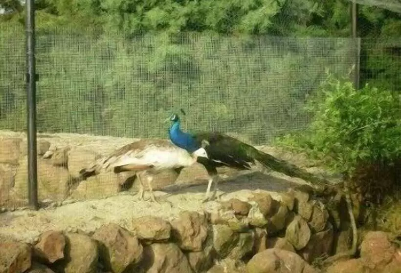 ペンション Fattoria S'imbiligu