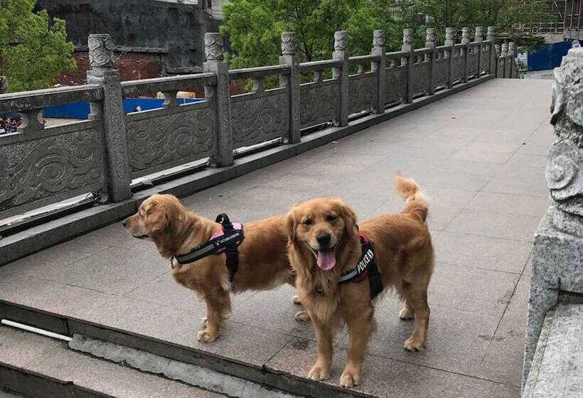 פנסיון Fenghuang Hemu House