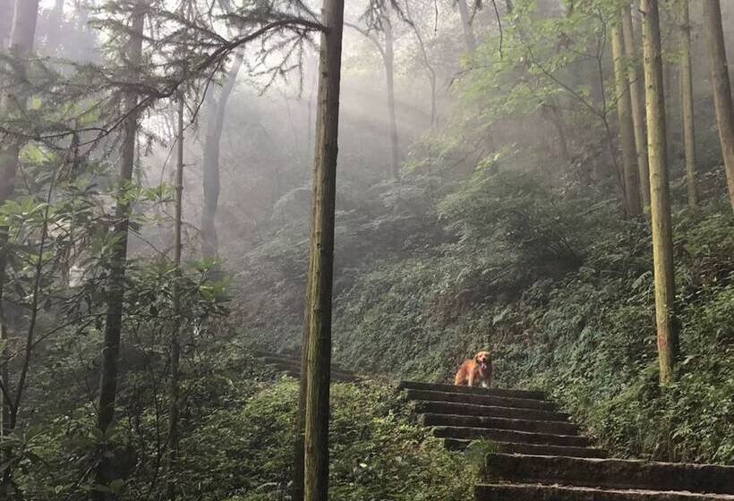 פנסיון Fenghuang Hemu House