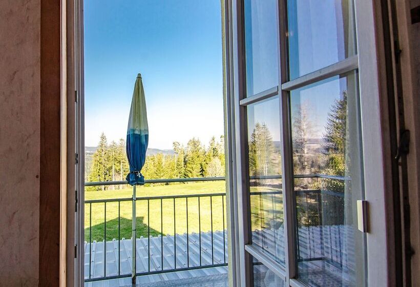 膳宿费 Gasthaus Deutscher Jäger