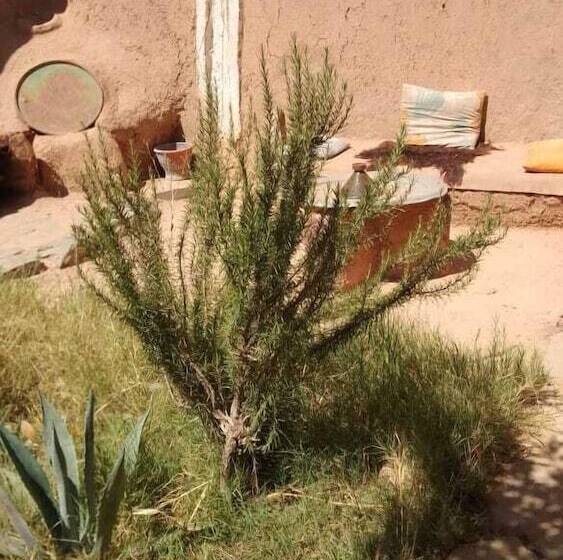 پانسیون La Maison Saharaouie