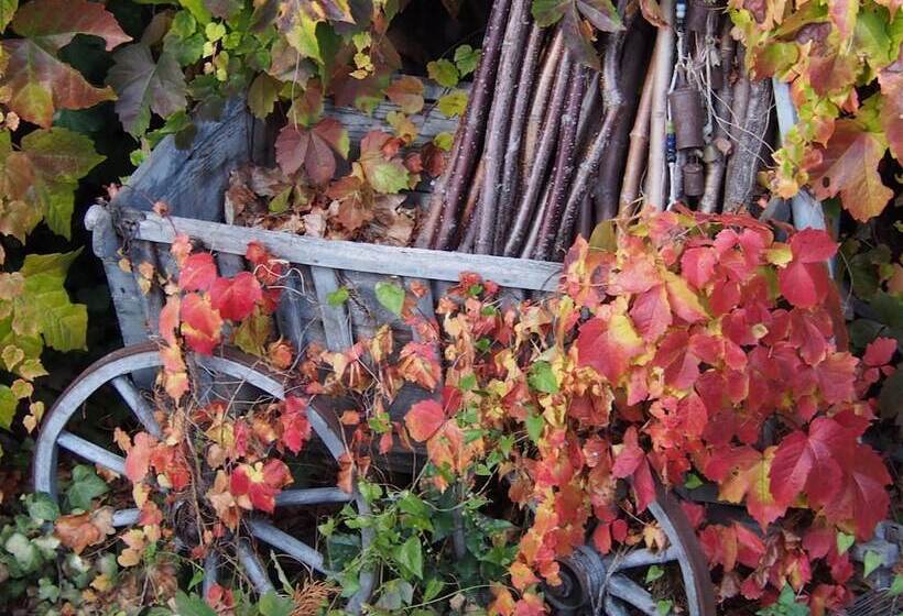 펜션 Le Temps Des Choses