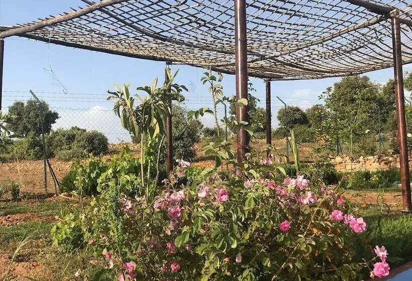 Majatalo Maison D Hôtes Tinwitchi