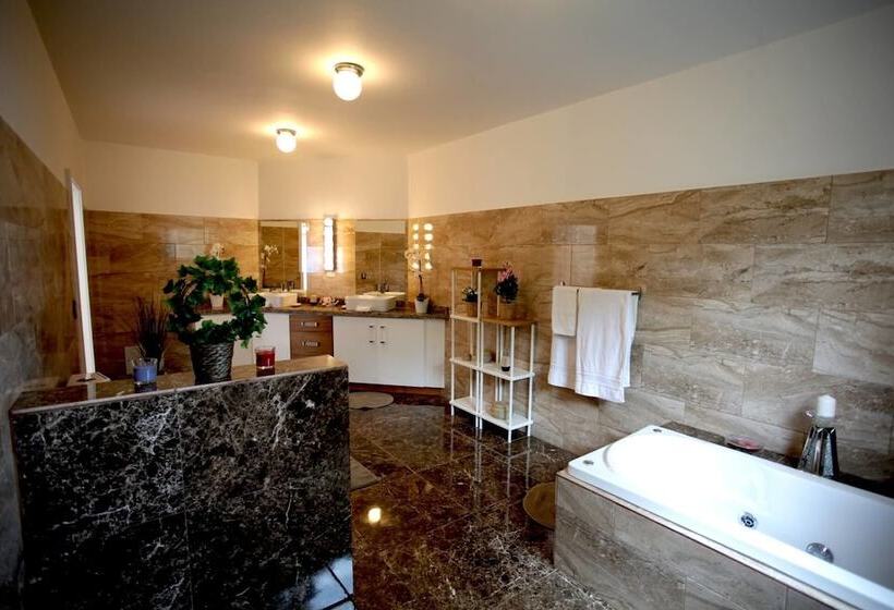 פנסיון Pueblo Checo   Czech Guest House