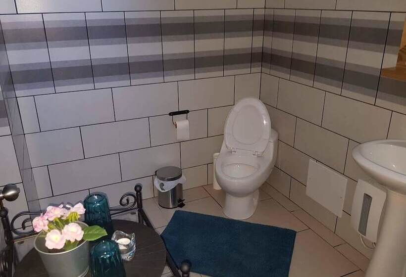 פנסיון Pueblo Checo   Czech Guest House