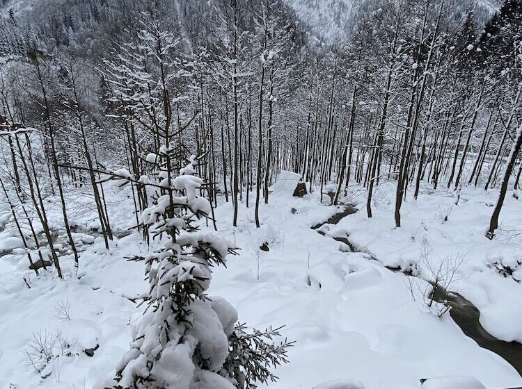 بنسيون Ayder Smail Oberj