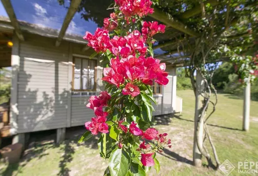 Majatalo Vieja Hacienda
