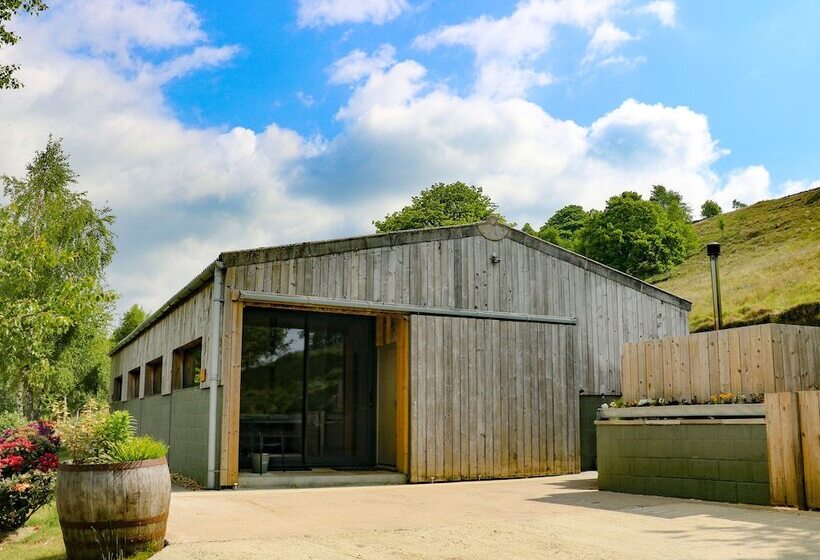 Ash Bank, Jacobs Wood