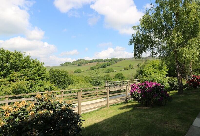 Ash Bank, Jacobs Wood