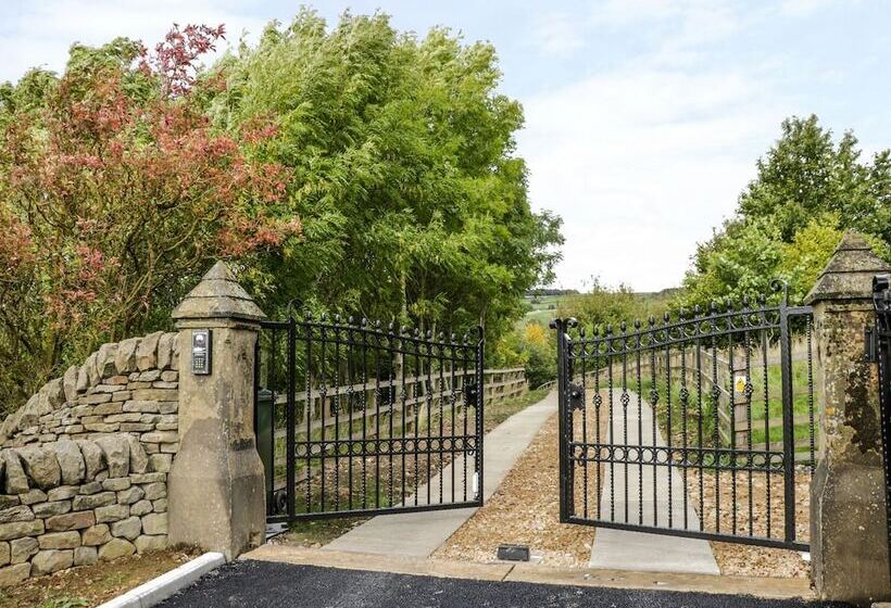 Ash Bank, Jacobs Wood