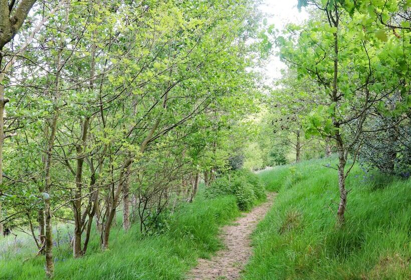 Ash Bank, Jacobs Wood
