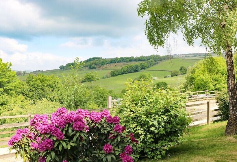 Ash Bank, Jacobs Wood