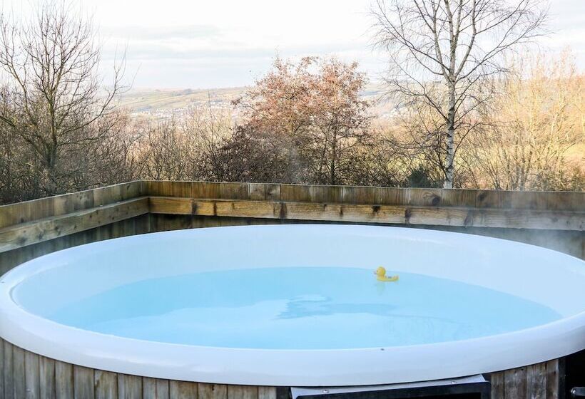 Ash Bank, Jacobs Wood