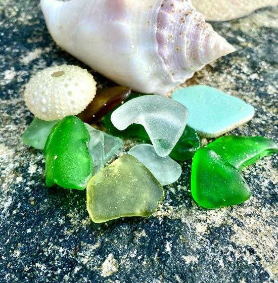 تختخواب و صبحانه Ocean Tally