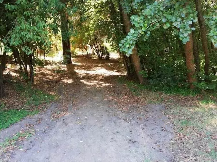 Bosque Nativo