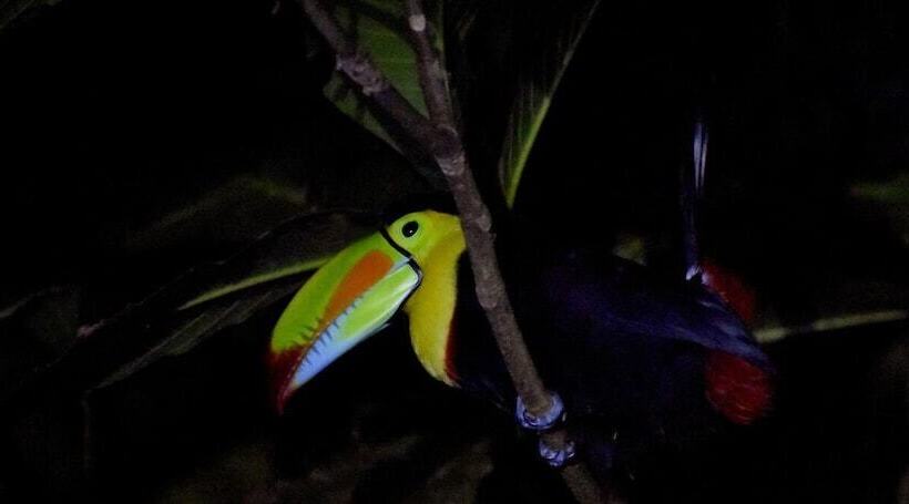 Casa Turtle Bogue Hostel