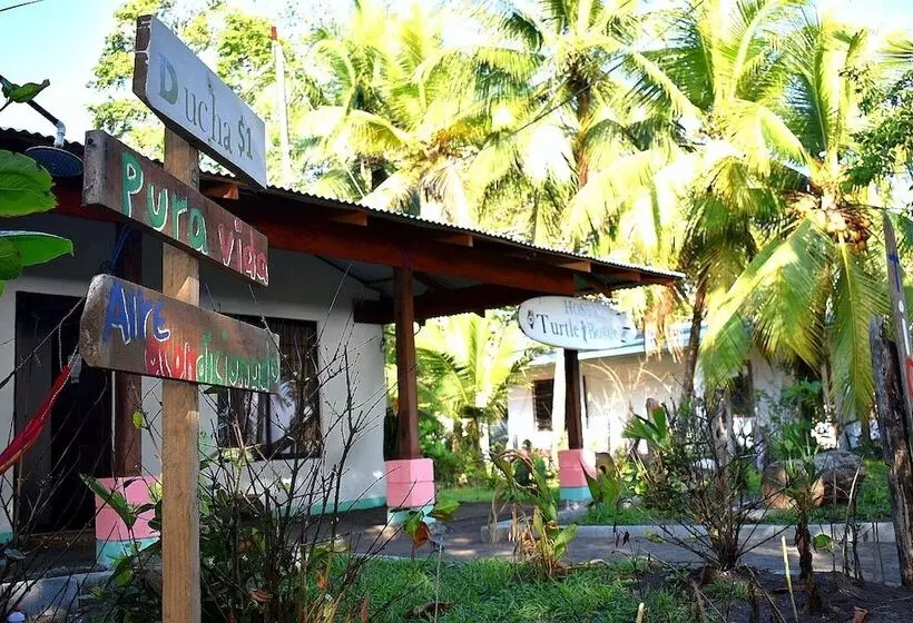 Casa Turtle Bogue   Hostel