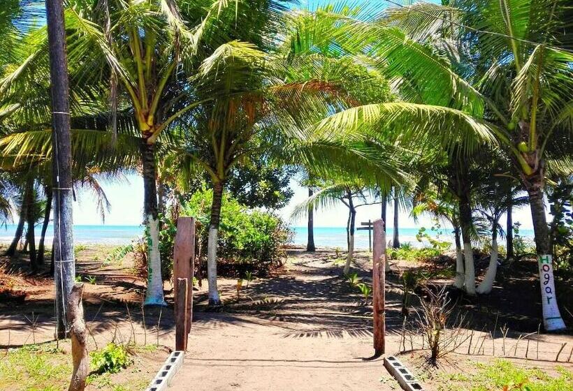 Casa Turtle Bogue Hostel