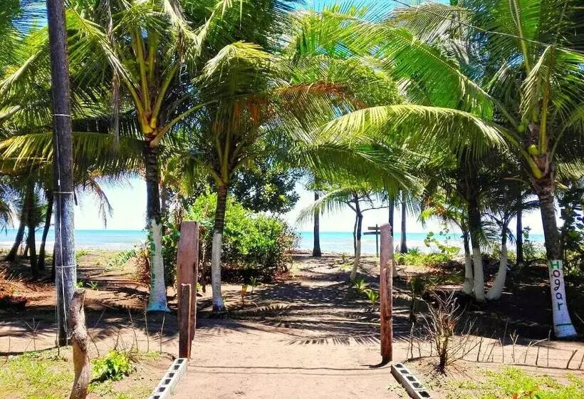 Casa Turtle Bogue   Hostel