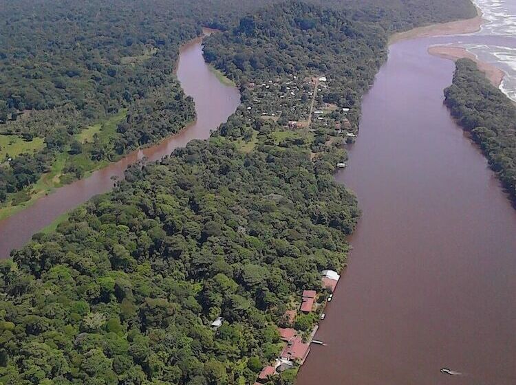 Casa Turtle Bogue Hostel
