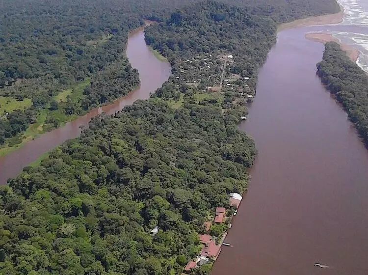 Casa Turtle Bogue   Hostel