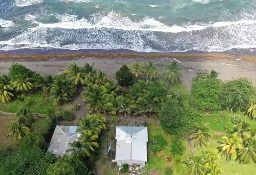 Casa Turtle Bogue   Hostel