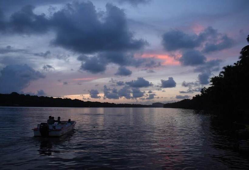 Casa Turtle Bogue Hostel