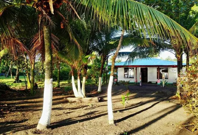 Casa Turtle Bogue   Hostel