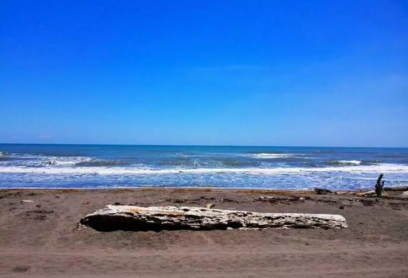 Casa Turtle Bogue   Hostel