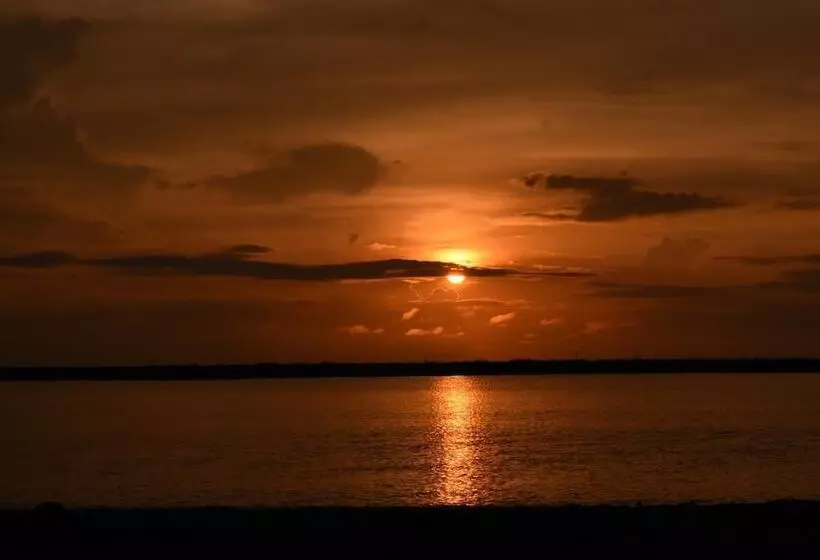 Casa Turtle Bogue   Hostel