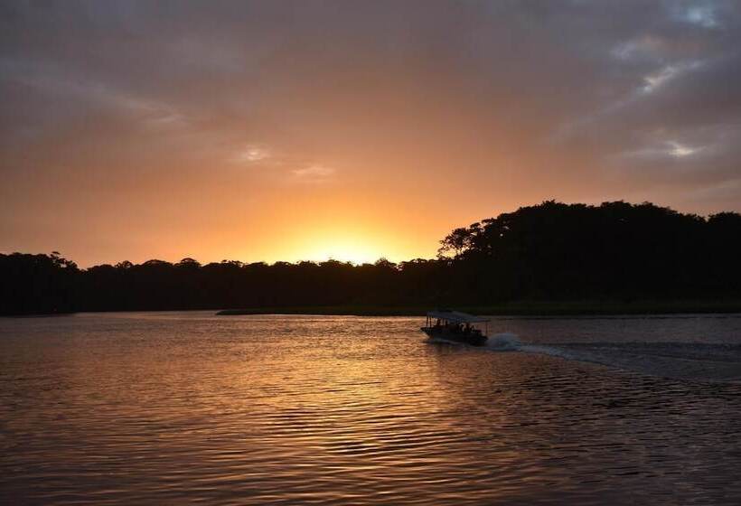 Casa Turtle Bogue Hostel