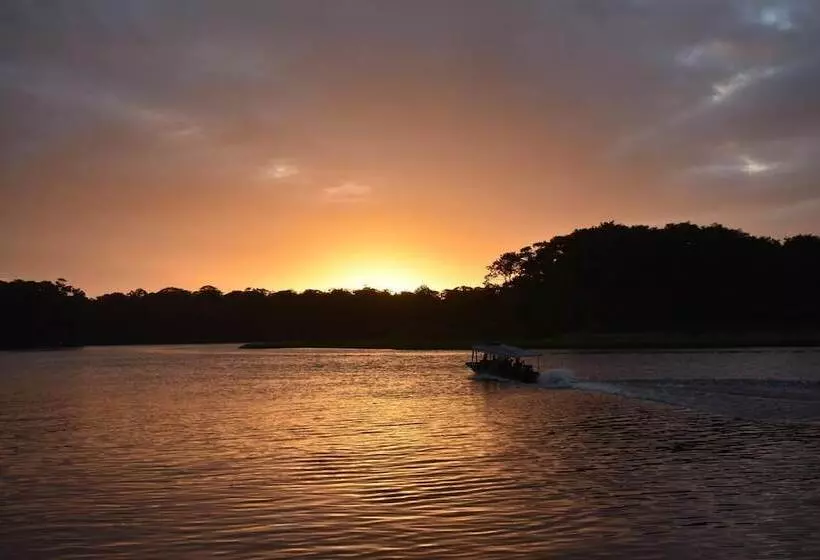 Casa Turtle Bogue   Hostel