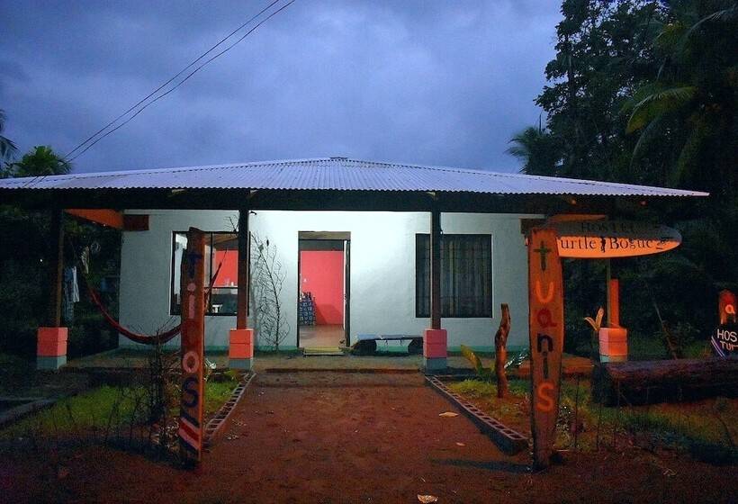 Casa Turtle Bogue Hostel
