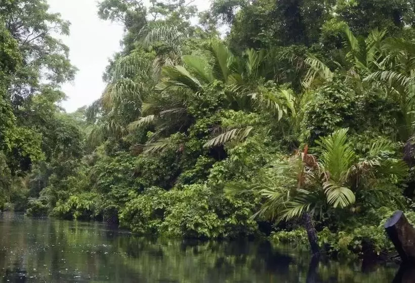 Casa Turtle Bogue   Hostel