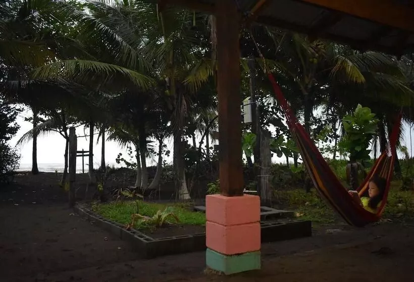 Casa Turtle Bogue   Hostel