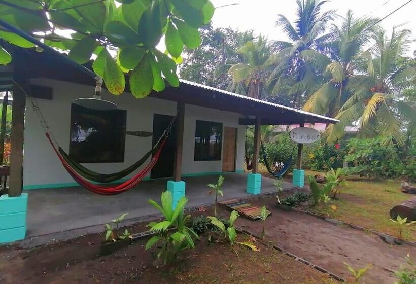Casa Turtle Bogue Hostel