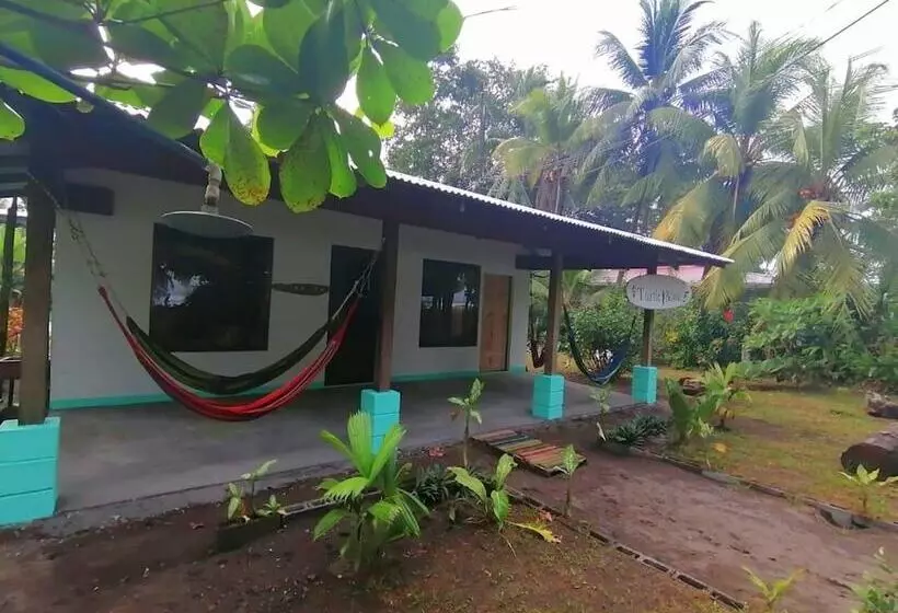 Casa Turtle Bogue   Hostel