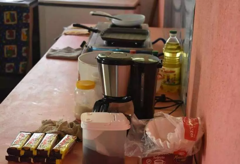 Casa Turtle Bogue   Hostel