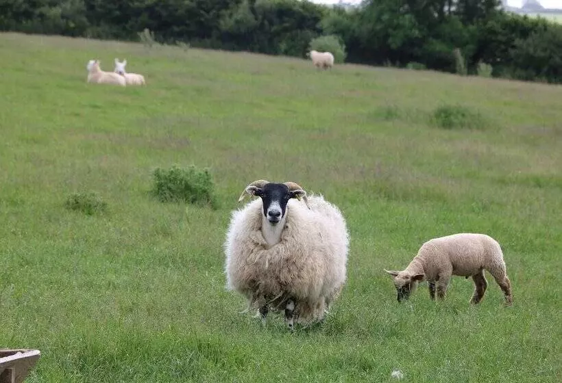 Elm Cottage