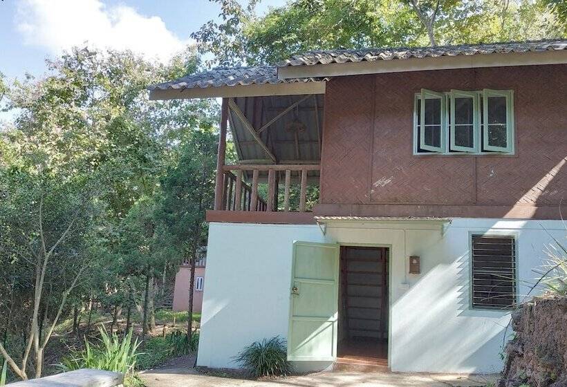 בית מלון כפרי Farmstay At Pha Ma Chiangrai