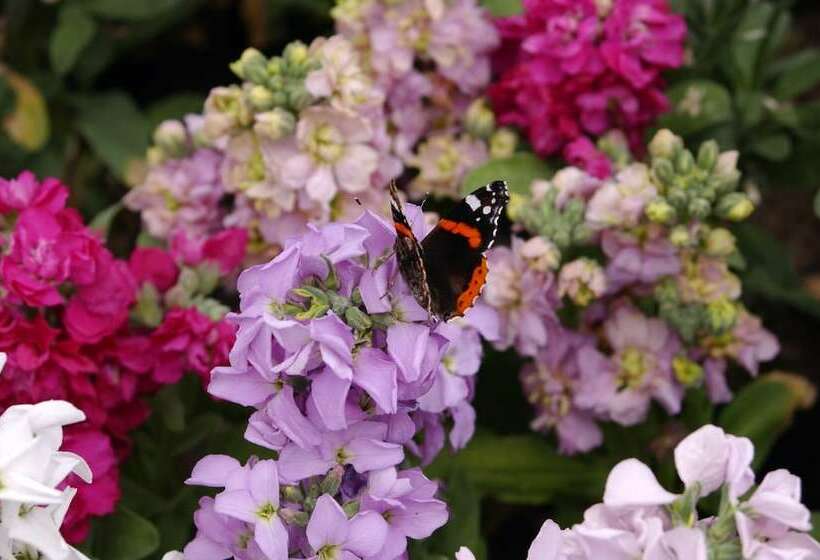 فندق Idakoy Ciftlik Evi