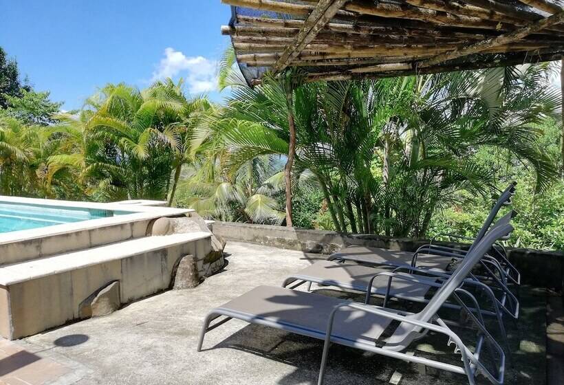 فندق Punta Duarte Garden Inn