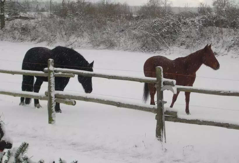 Hotelli Vierjahreszeiten Appartments